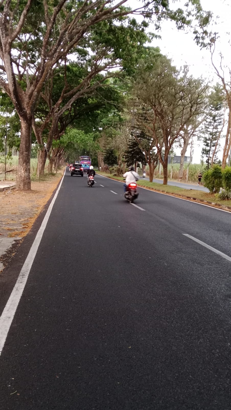 Jalan Raya Jalibar (foto W2)